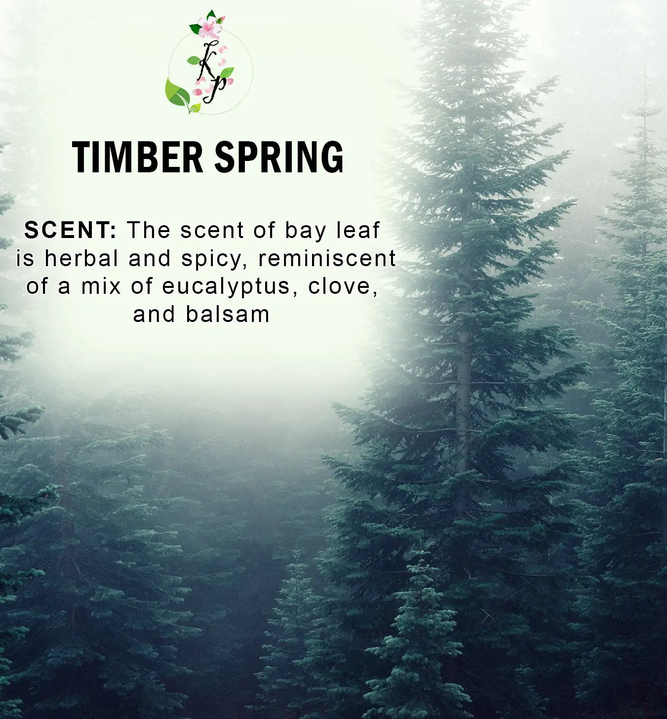 Timber Spring Body Lotion | Organic Body Cream | Shea Butter Lotion | Scented Lotion | Almond Body Lotion-1