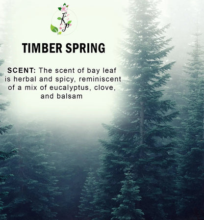 Timber Spring Body Lotion | Organic Body Cream | Shea Butter Lotion | Scented Lotion | Almond Body Lotion-1
